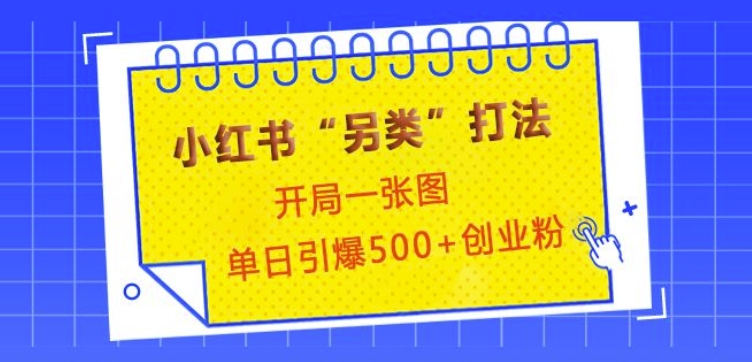 小红书“另类”打法，开局一张图，单日引爆500+精准创业粉-创奇社 - AI前沿·副业变现·资源教程！