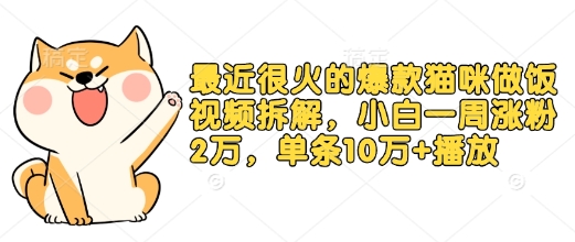最近很火的爆款猫咪做饭视频拆解，小白一周涨粉2万，单条10万+播放(附保姆级教程)-创奇社 - AI前沿·副业变现·资源教程！