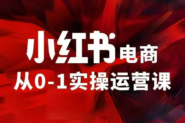 小紅書電商運營，97節小紅書vip内部課，帶你實現小紅書賺錢