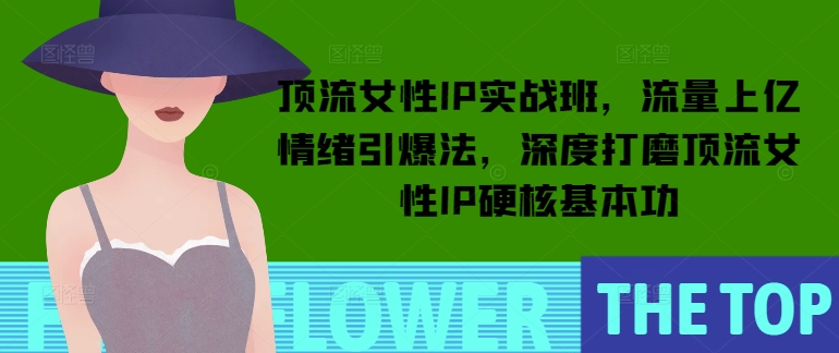 顶流女性IP实战班，流量上亿情绪引爆法，深度打磨顶流女性IP硬核基本功-创奇社 - AI前沿·副业变现·资源教程！