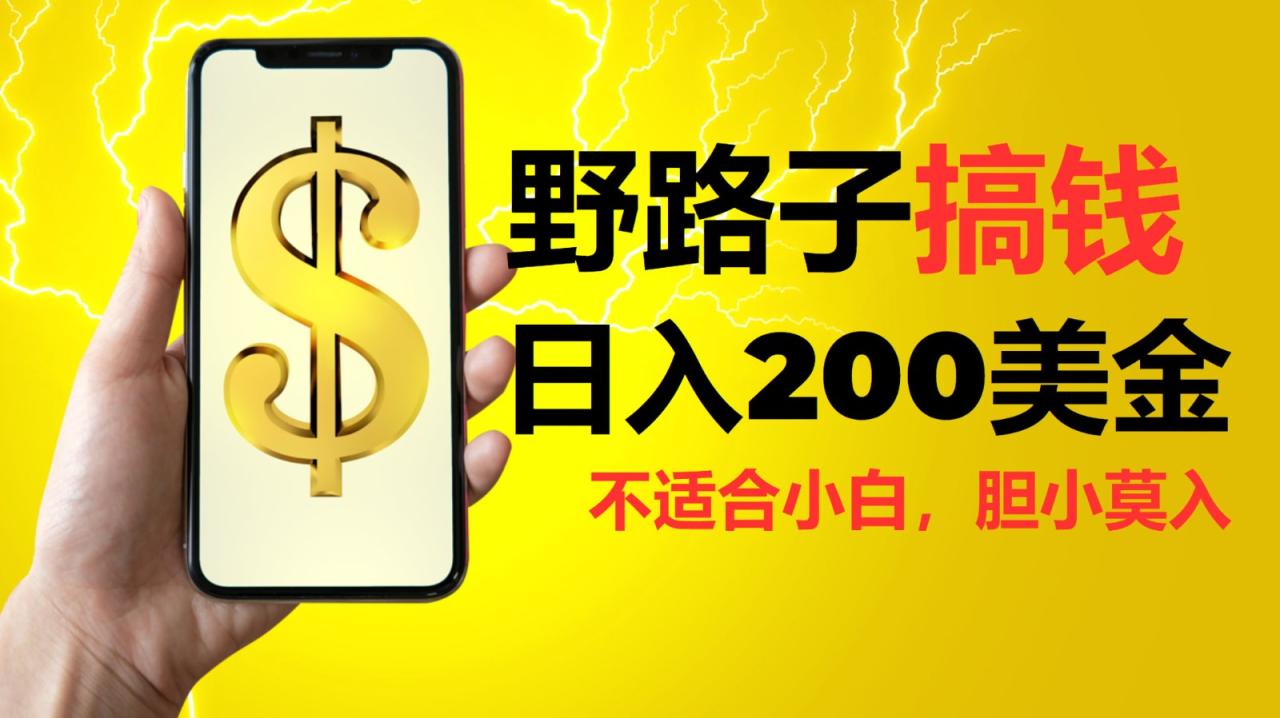 挂机野路子搞钱，日入200美金，路子很野，小白莫入-创奇社 - AI前沿·副业变现·资源教程！
