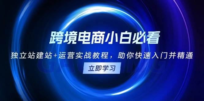 跨境电商小白必看！独立站建站+运营实战教程，助你快速入门并精通-创奇社 - AI前沿·副业变现·资源教程！
