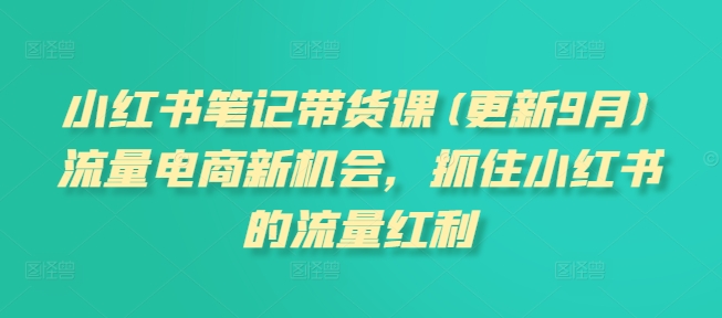 小紅書筆記帶貨課(更新10月)流量電商新機會，抓住小紅書的流量紅利