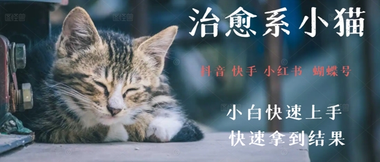拆解，疯狂火爆！抖音，小红书，视频号小猫治愈的视频，轻松制作+快速拿到结果-创奇社 - AI前沿·副业变现·资源教程！