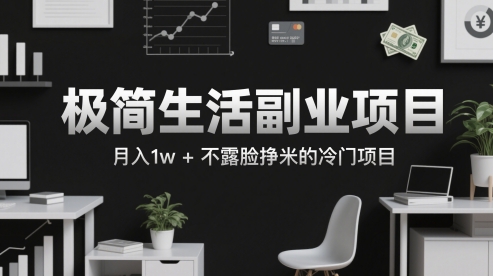 极简生活副业项目，月入1w+不露脸挣米的冷门项目-创奇社 - AI前沿·副业变现·资源教程！
