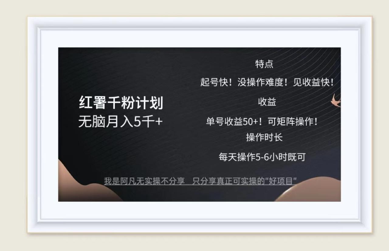 红薯千粉计划无脑月入5千+！既做既赚！-创奇社 - AI前沿·副业变现·资源教程！