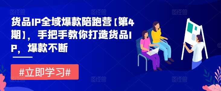 货品IP全域爆款陪跑营【第4期】，手把手教你打造货品IP，爆款不断-创奇社 - AI前沿·副业变现·资源教程！