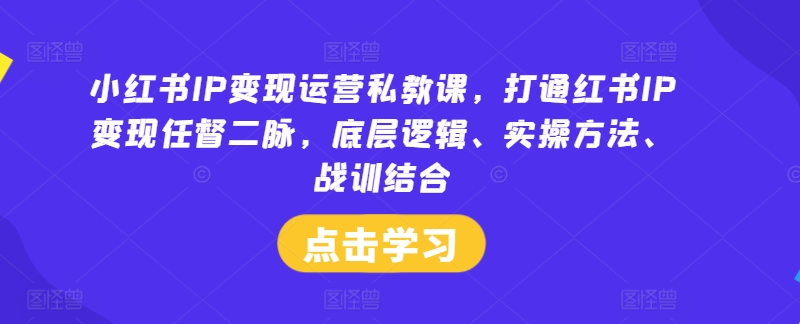 小红书IP变现运营私教课，打通红书IP变现任督二脉，底层逻辑、实操方法、战训结合-创奇社 - AI前沿·副业变现·资源教程！