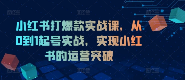 小红书打爆款实战课，从0到1起号实战，实现小红书的运营突破-创奇社 - AI前沿·副业变现·资源教程！