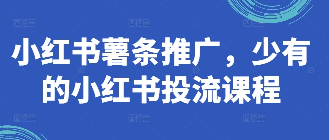 小红书薯条推广，少有的小红书投流课程-创奇社 - AI前沿·副业变现·资源教程！
