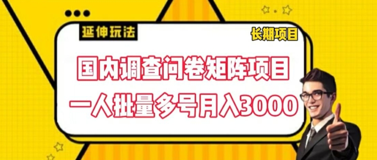 国内调查问卷矩阵项目，一人批量多号月入3000-创奇社 - AI前沿·副业变现·资源教程！