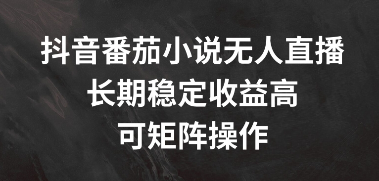 抖音番茄小说无人直播，长期稳定收益高，可矩阵操作-创奇社 - AI前沿·副业变现·资源教程！