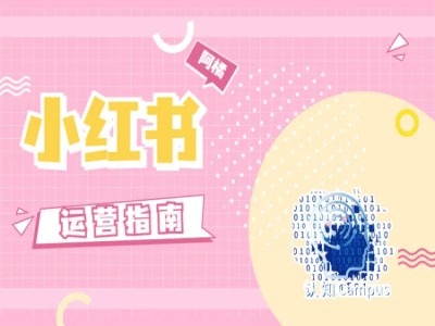 小红书运营指南，没有套路，全是经验-创奇社 - AI前沿·副业变现·资源教程！