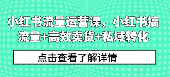 小红书流量运营课，小红书搞流量+高效卖货+私域转化-创奇社 - AI前沿·副业变现·资源教程！