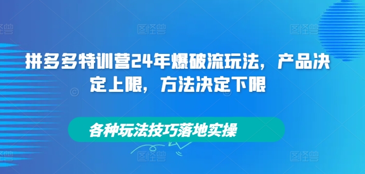 拼多多特训营24年爆破流玩法，产品决定上限，方法决定下限，各种玩法技巧落地实操-创奇社 - AI前沿·副业变现·资源教程！