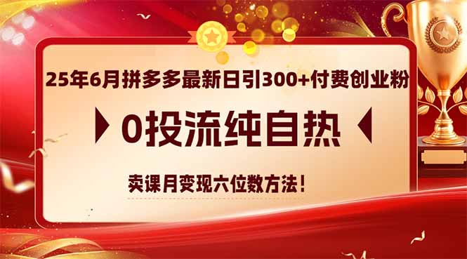 （14989期）25年6月拼多多最新日引300+付费创业粉，0投流纯自热 卖课月变现六位数方法-创奇社 - AI前沿·副业变现·资源教程！