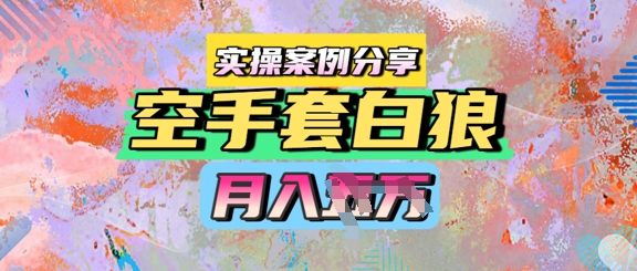 空手套白狼，月入过1W，实操案例分享-1