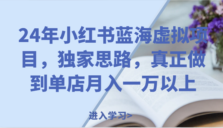 24年小紅書藍海虛拟項目，獨家思路，真正做到單店月入一萬以上。