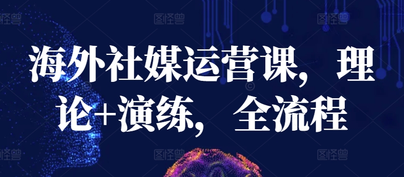 海外社媒运营课，理论+演练，全流程-创奇社 - AI前沿·副业变现·资源教程！