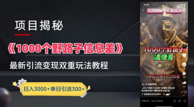 一千个野路子信息差最新玩法教程-变现+引流的玩法具体拆解-创奇社 - AI前沿·副业变现·资源教程！