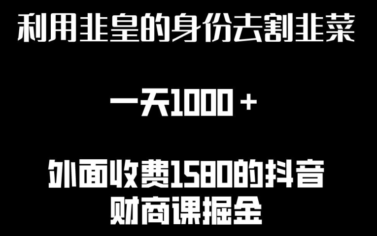 利用非皇的身份去割韭菜，一天1000+(附详细资源)-创奇社 - AI前沿·副业变现·资源教程！