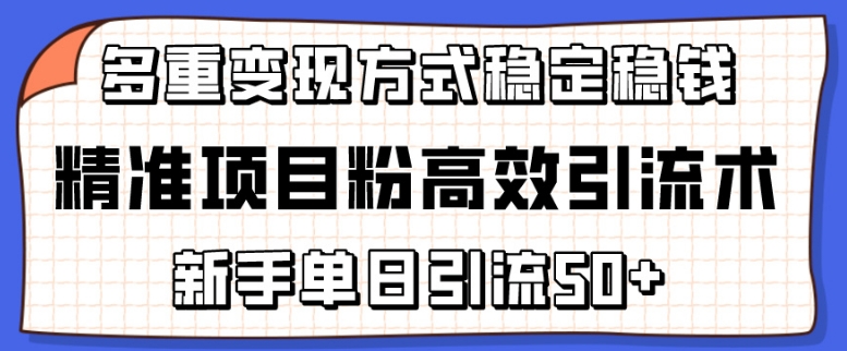 精准项目粉高效引流术，新手单日引流50+，多重变现方式稳定赚钱-创奇社 - AI前沿·副业变现·资源教程！