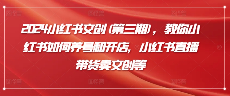 2024小红书文创(第三期)，教你小红书如何养号和开店，小红书直播带货卖文创等-创奇社 - AI前沿·副业变现·资源教程！