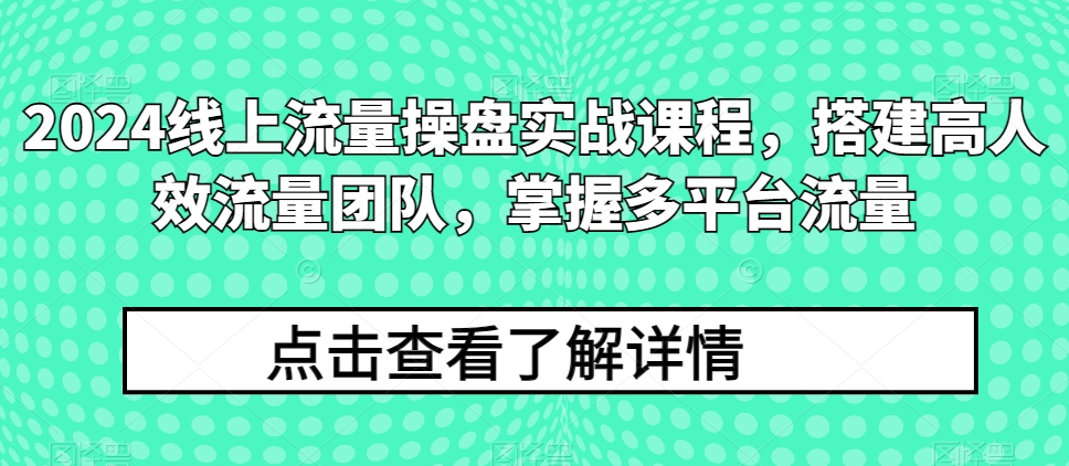 2024线上流量操盘实战课程，搭建高人效流量团队，掌握多平台流量-创奇社 - AI前沿·副业变现·资源教程！