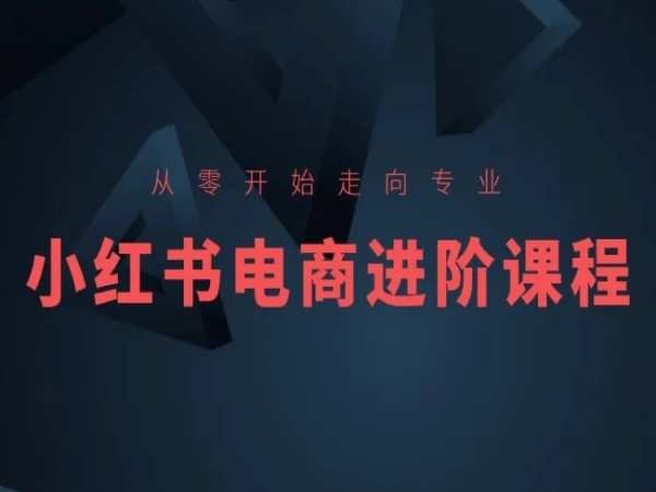 从零开始走向专业，小红书电商进阶课程-创奇社 - AI前沿·副业变现·资源教程！