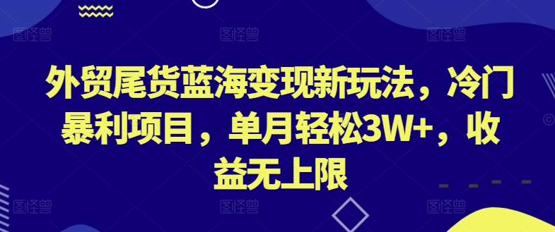 外贸尾货蓝海变现新玩法，冷门暴利项目，单月轻松3W+，收益无上限-创奇社 - AI前沿·副业变现·资源教程！