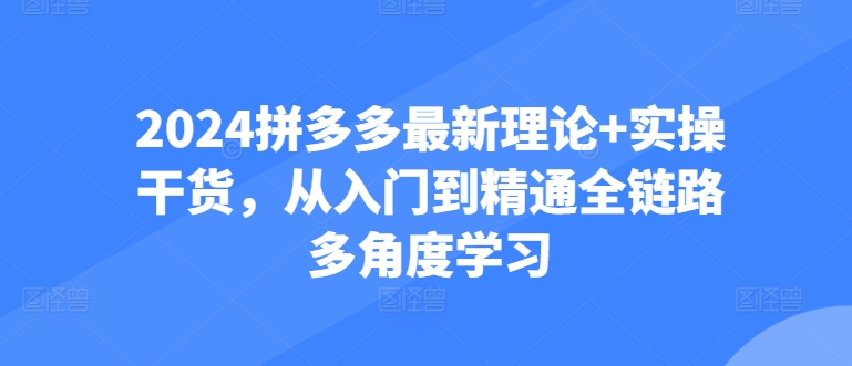2024拼多多最新理论+实操干货，从入门到精通全链路多角度学习-创奇社 - AI前沿·副业变现·资源教程！