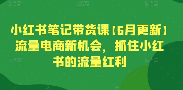 小红书笔记带货课【6月更新】流量电商新机会，抓住小红书的流量红利-创奇社 - AI前沿·副业变现·资源教程！