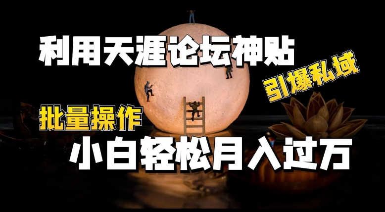 利用天涯论坛神贴，引爆私域，批量操作，小白轻松月入过w-创奇社 - AI前沿·副业变现·资源教程！
