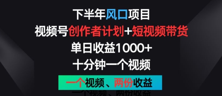 下半年风口项目，视频号创作者计划+视频带货，一个视频两份收益，十分钟一个视频-创奇社 - AI前沿·副业变现·资源教程！
