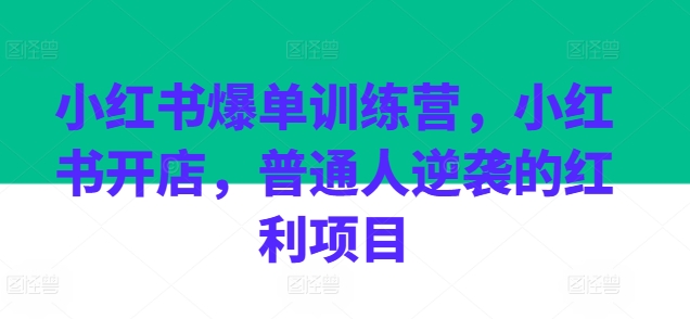 小红书爆单训练营，小红书开店，普通人逆袭的红利项目-创奇社 - AI前沿·副业变现·资源教程！
