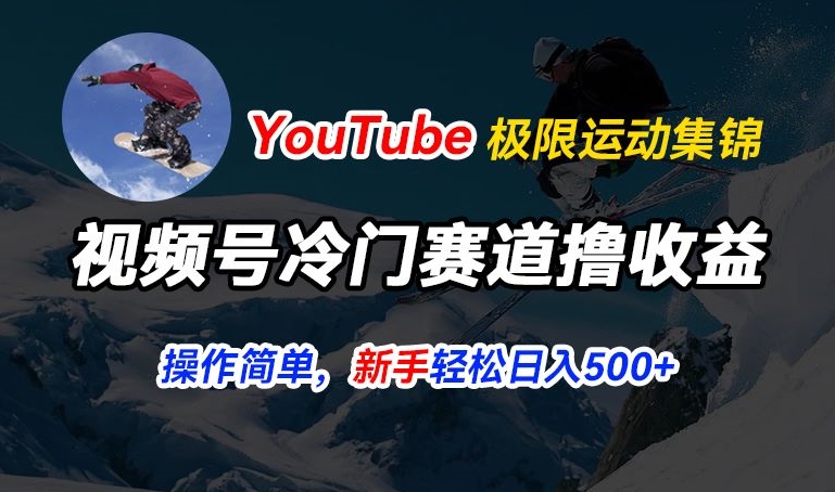 视频号冷门赛道撸收益，YouTube搬运极限运动集锦，暴力起号，操作简单流量高，轻松日入5张-创奇社 - AI前沿·副业变现·资源教程！