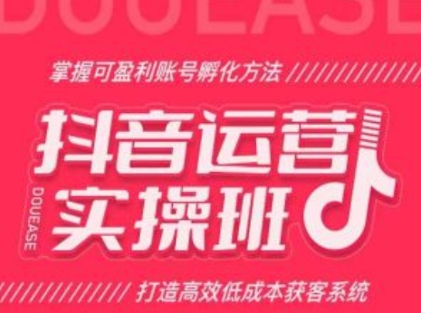 抖音运营实操班，掌握可盈利账号孵化方法，打造高效低成本获客系统-创奇社 - AI前沿·副业变现·资源教程！