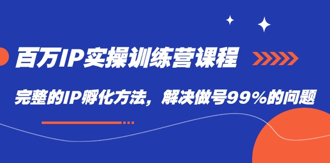 百万IP实战训练营课程，完整的IP孵化方法，解决做号99%的问题-创奇社 - AI前沿·副业变现·资源教程！