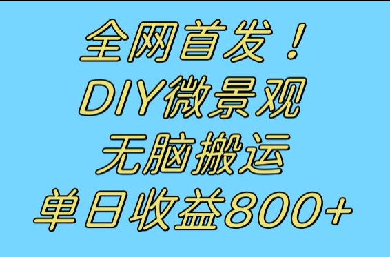 全网首发冷门赛道！DIY微景观，无脑搬运视频，日收益800+-创奇社 - AI前沿·副业变现·资源教程！