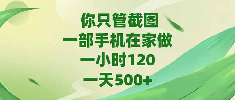 （15039期）你只管截图，一部手机在家做，一小时120，-天500+-创奇社 - AI前沿·副业变现·资源教程！