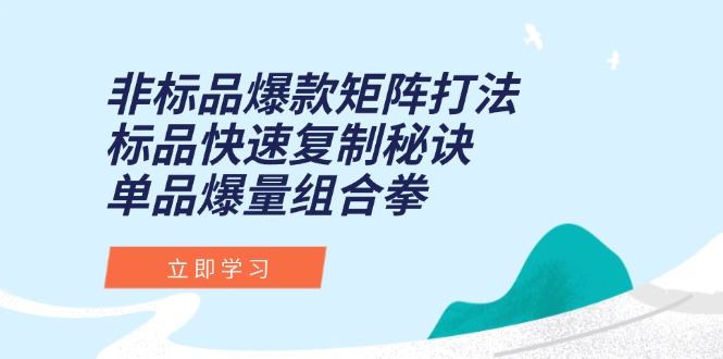 （15068期）非标品爆款矩阵打法，标品快速复制秘诀，单品爆量组合拳-创奇社 - AI前沿·副业变现·资源教程！