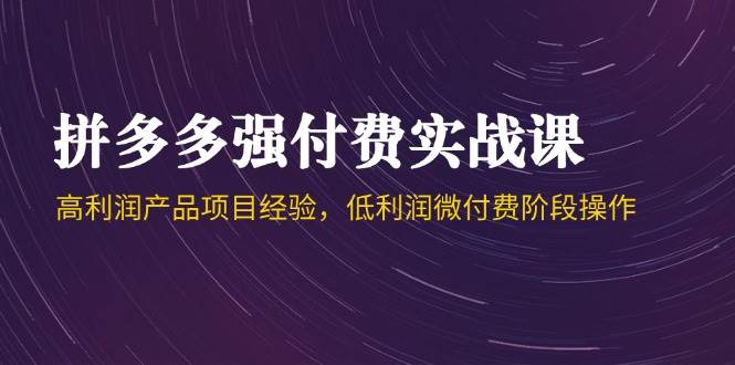 拼多多强付费实战课-44期，高利润产品项目经验，低利润微付费阶段操作-创奇社 - AI前沿·副业变现·资源教程！
