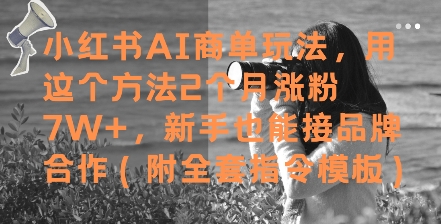 小红书AI商单玩法，用这个方法2个月涨粉7W+，新手也能接品牌合作(附全套指令模板)-创奇社 - AI前沿·副业变现·资源教程！