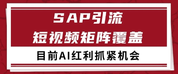 小红书某音sap赛道引流获客 自热矩阵日引200+-创奇社 - AI前沿·副业变现·资源教程！