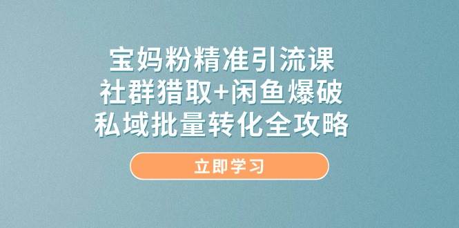 宝妈粉精准引流课，社群猎取+闲鱼爆破，私域批量转化全攻略-创奇社 - AI前沿·副业变现·资源教程！