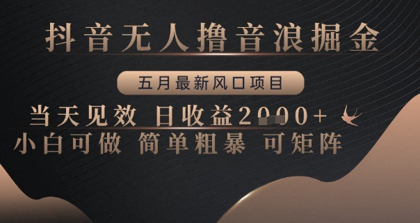 抖音无人撸音浪掘金，五月最新风口项目，当天见效，日收益多张，小白可做简单粗暴可矩阵-创奇社 - AI前沿·副业变现·资源教程！