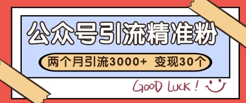 公众号精准粉引流玩法，2个月3000+精准粉，变现30个W-创奇社 - AI前沿·副业变现·资源教程！