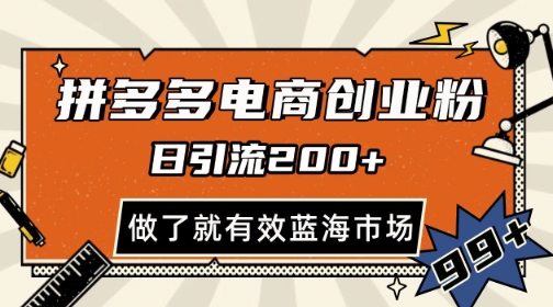 拼多多引流电商创业粉，日引200+，可矩阵放大，做了就有效-创奇社 - AI前沿·副业变现·资源教程！