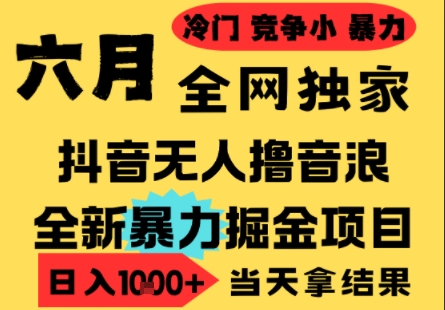 25年6月高爆抖音无人直播最新撸音浪掘金项目，小白可做，无脑日入1k+，门槛低可批量矩阵-创奇社 - AI前沿·副业变现·资源教程！