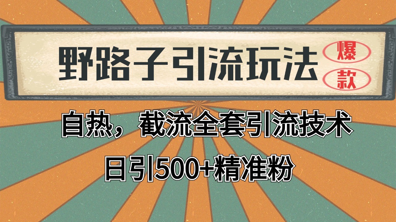 2024首发野路子引流玩法截流自热全平台打法，全自动引流【日引2000+精准客户】-创奇社 - AI前沿·副业变现·资源教程！